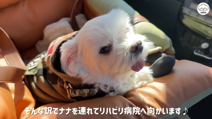 車で病院に向かいます