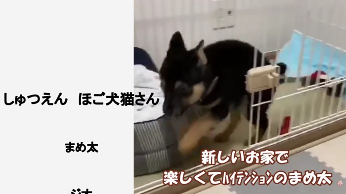 楽しそうな姿に感動