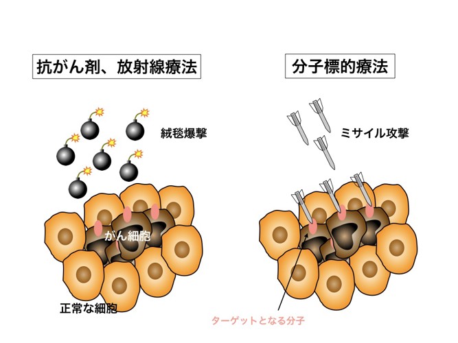 分子標的療法イラスト