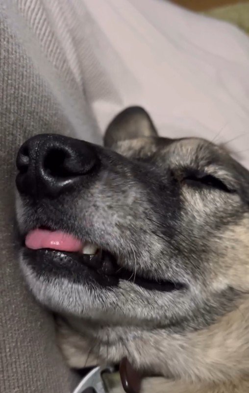 お口をくちゃくちゃ…