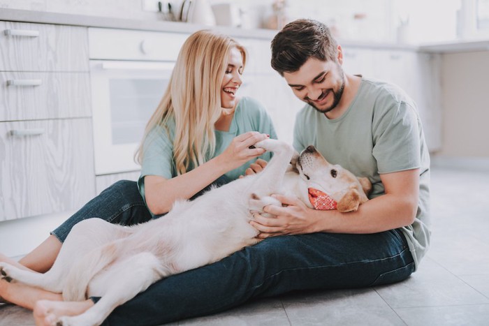 犬とじゃれ合う男性と女性