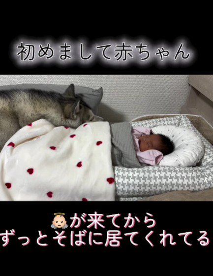 ただただ寄り添う…