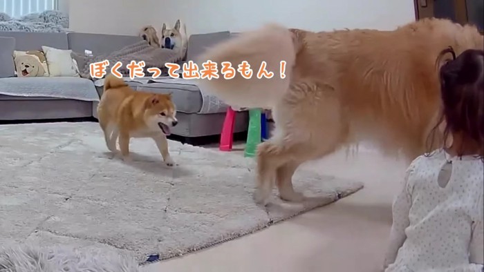 「僕だってできるもん！」