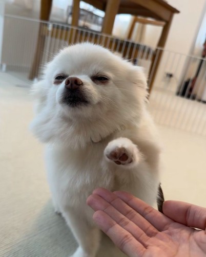 オテと言ったら…