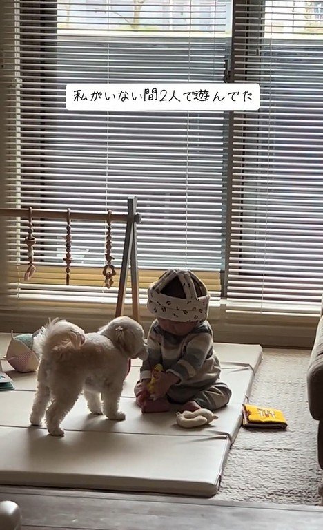 おもちゃで遊ぶワンコと赤ちゃん5