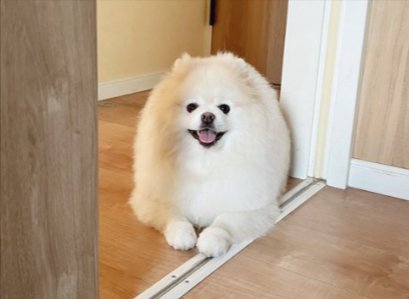 どこに居ても