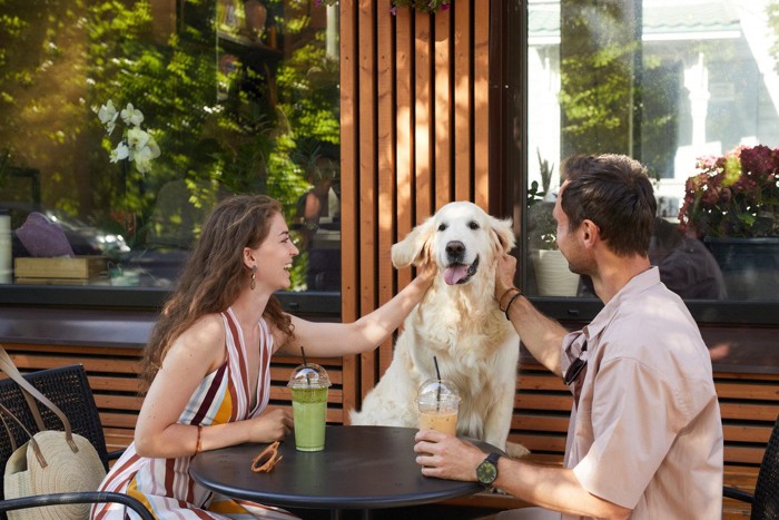 カフェで可愛がられる犬