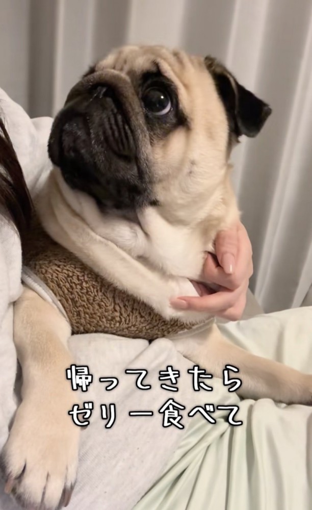 膨らむ期待！！