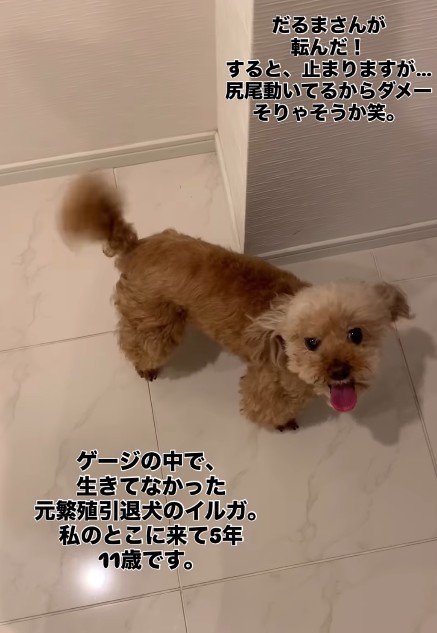 はじける笑顔が素敵