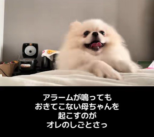 木ノ葉丸くんとの出会い7