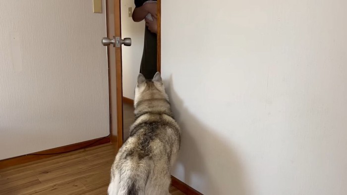 初対面の瞬間…