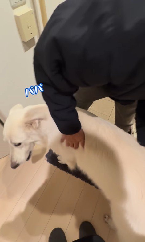 パパが隠れた時のれお君⑩