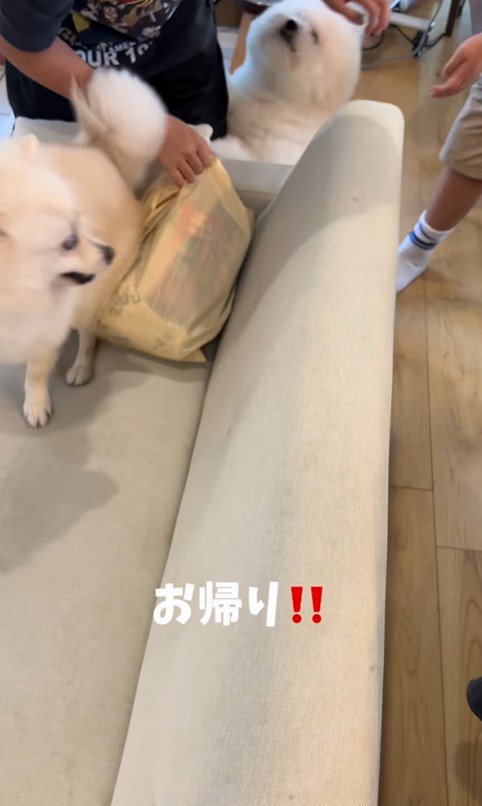 お兄ちゃんが帰宅時のエマくん＆ハルくん6