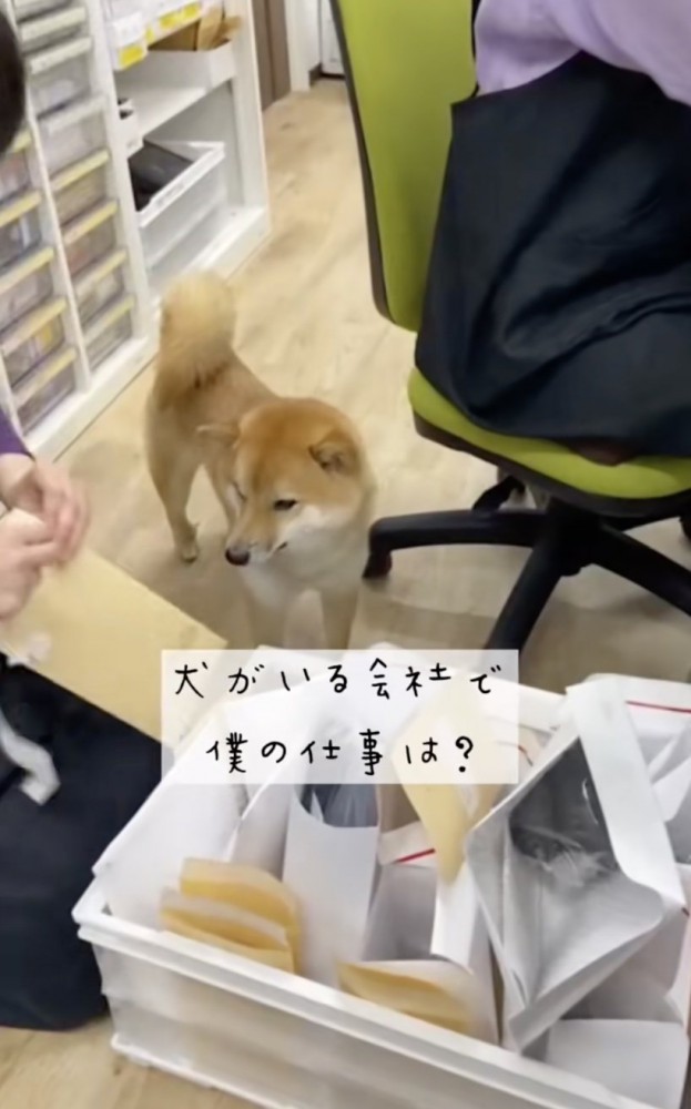 郵便物をチラリ