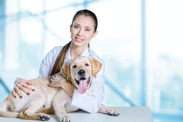 医者と犬