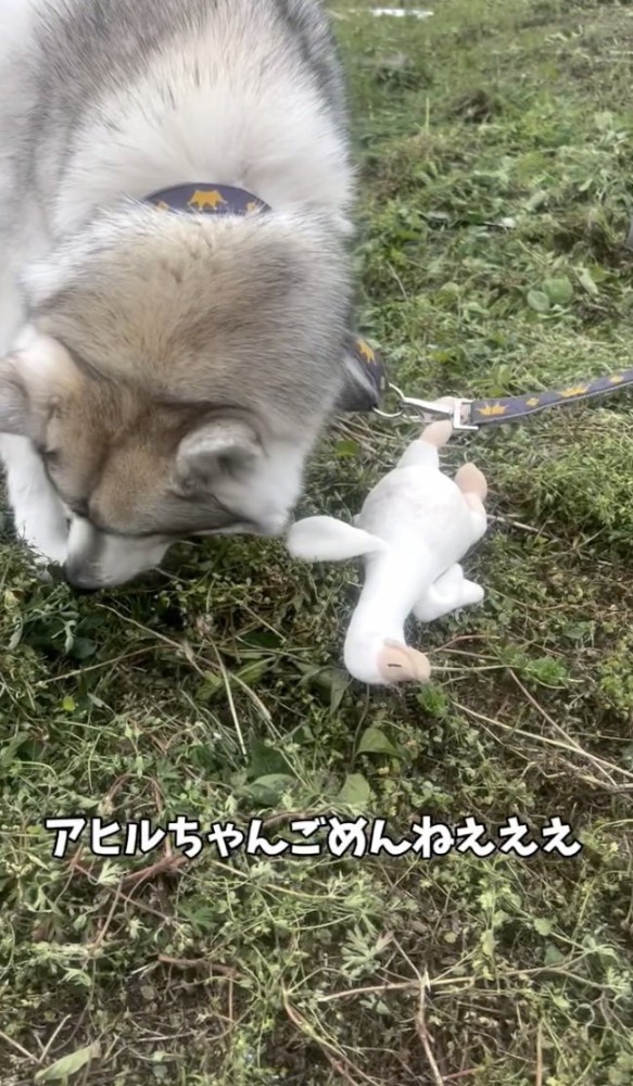 一緒にクン活？