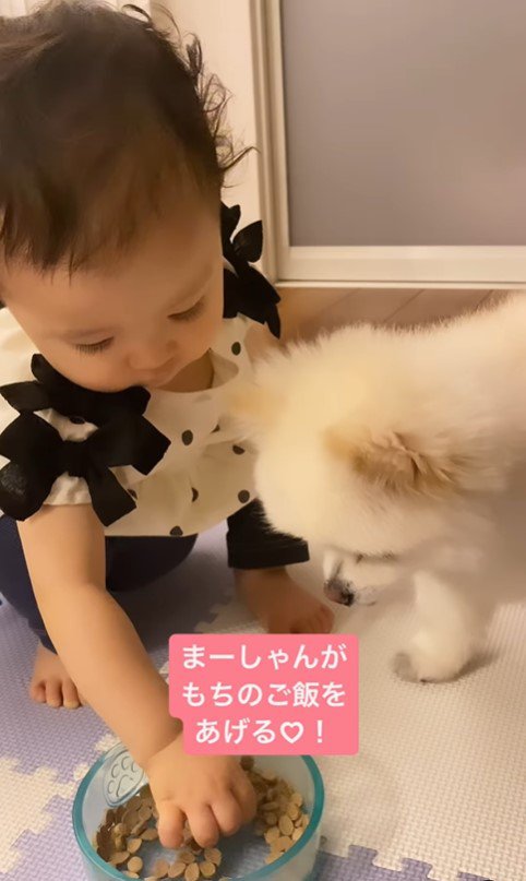 もちちゃんにご飯をあげるましろちゃん