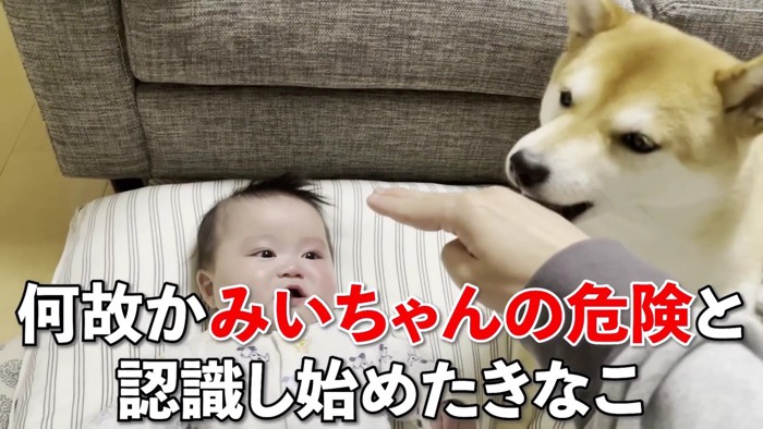 いじめられていると勘違い