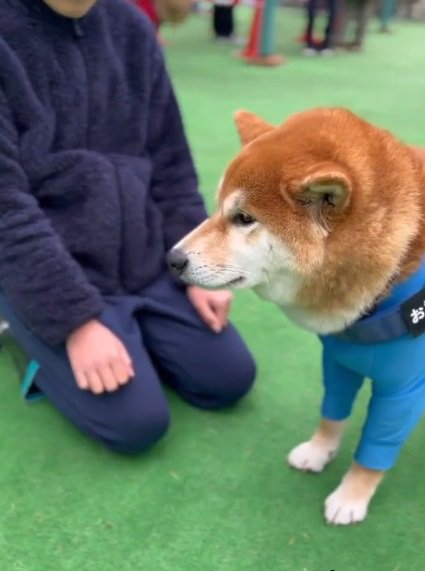 どんちゃんと男の子