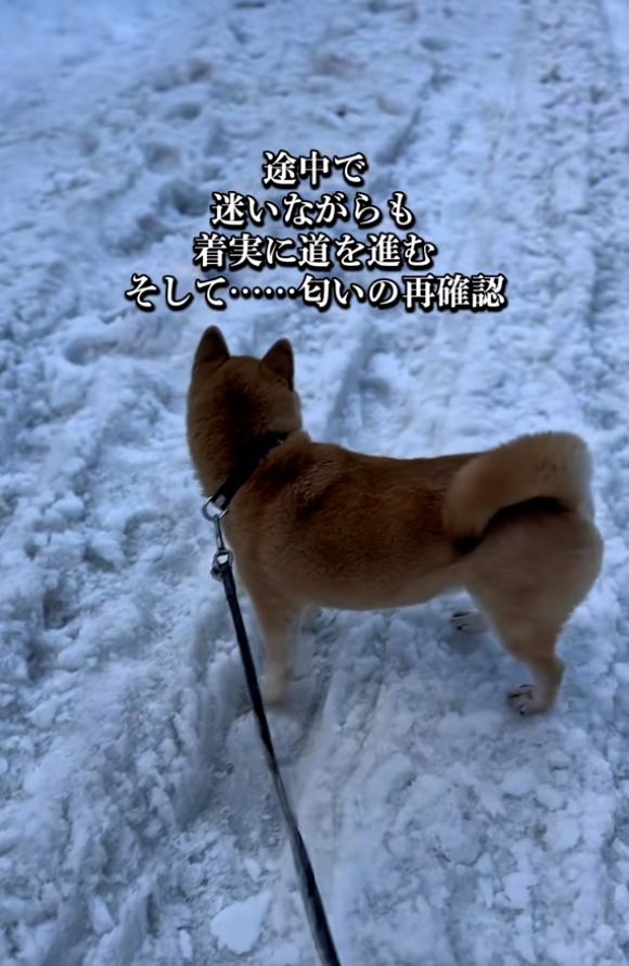 あたりを見渡す朔くん