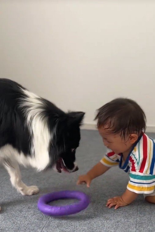 一緒に遊ぶヒマちゃんと赤ちゃん3