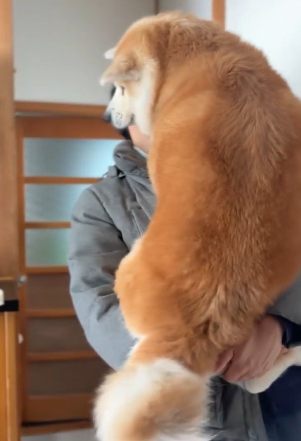 おはるちゃんをあやすパパ