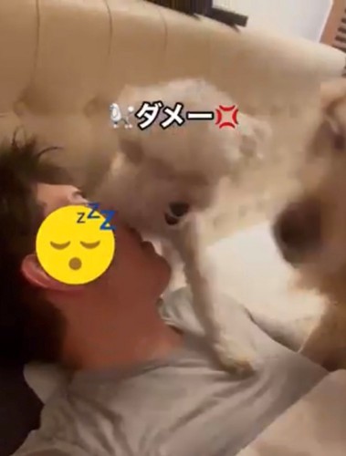 飼い主の顔のそばで怒る犬