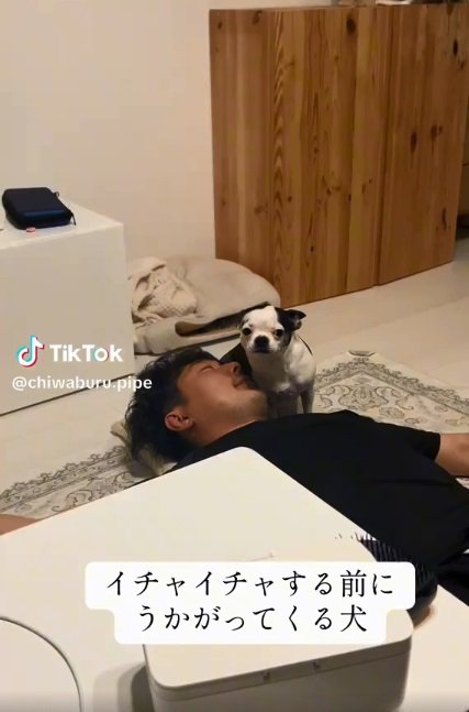 パパの隣に座るピペちゃん
