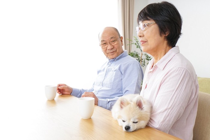 椅子に座る老夫婦と犬