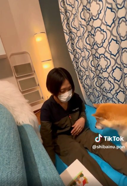 ポンさんを招く飼い主さん