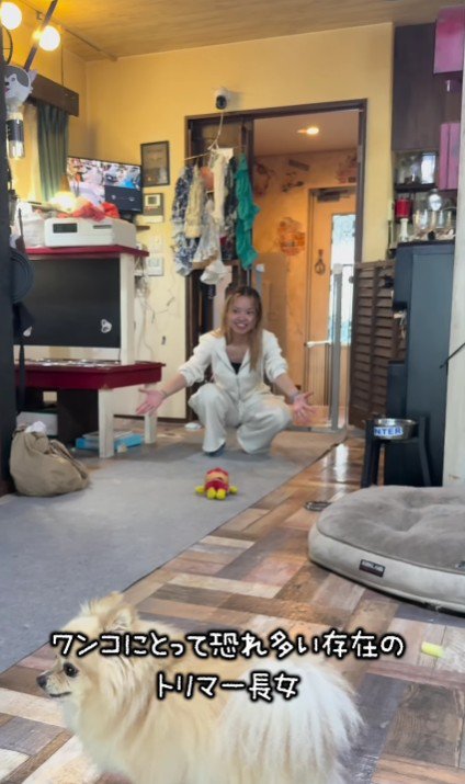 実は現役のトリマーさん