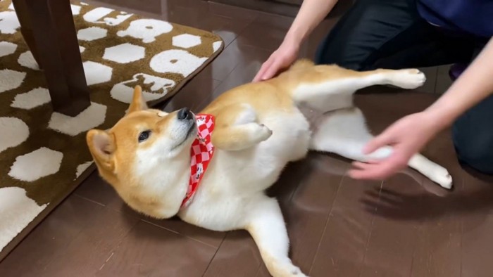 再びキックして、抱っこを拒否!