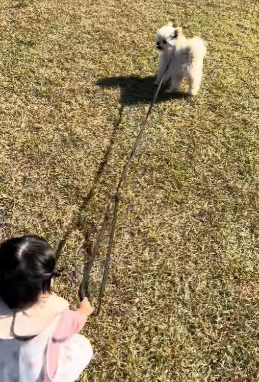 もち君と赤ちゃんのお散歩5