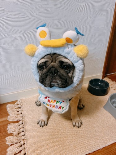 お誕生日