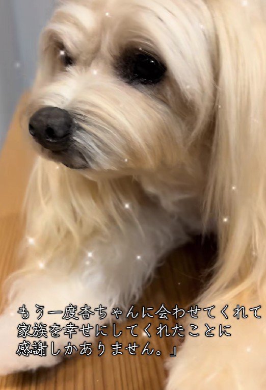 家族全員が前を向けるように