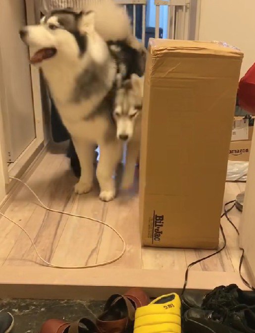 みんなでお出迎え♡