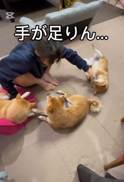 悩む次女