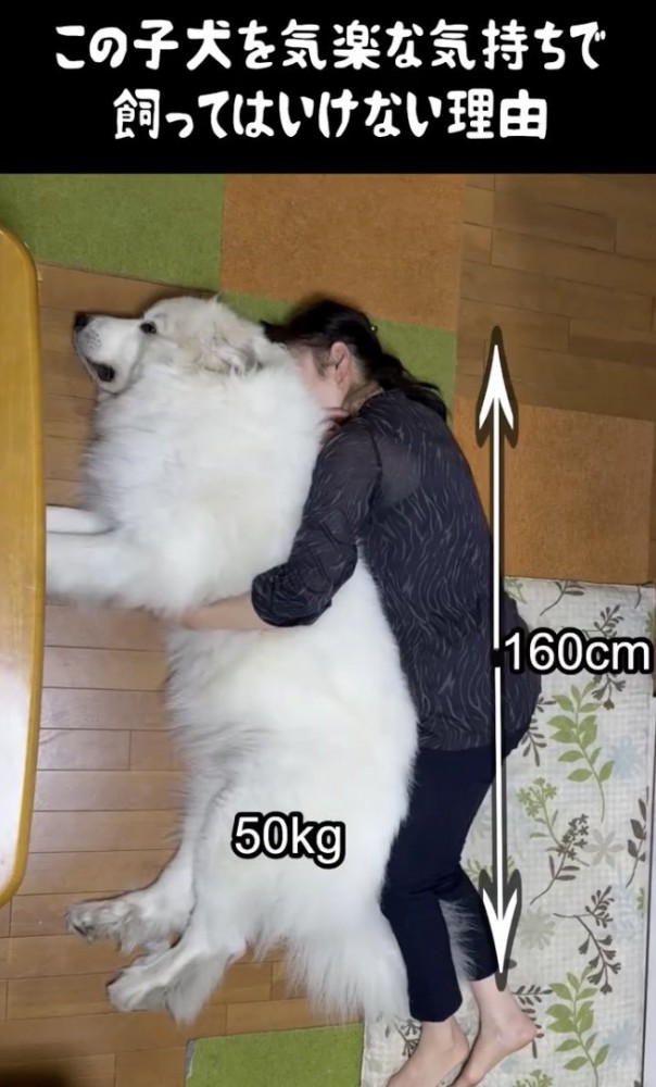 でかい