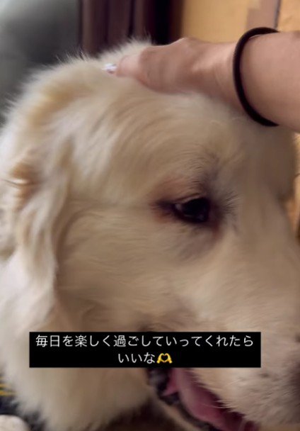 愛情もいっぱいもらってる