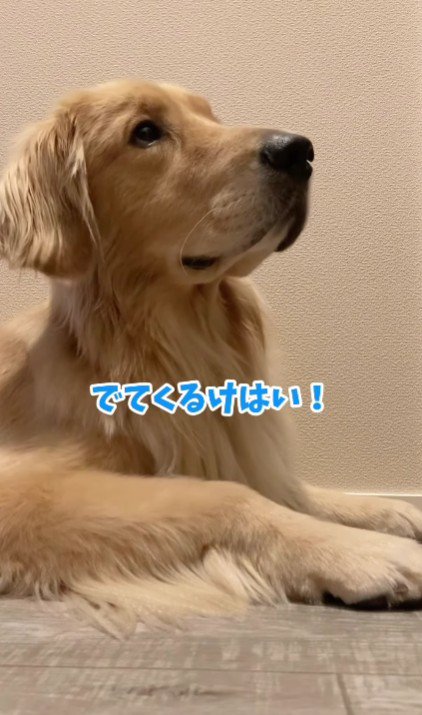 「もう出てきそう!」