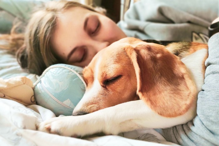 女性と一緒に寝ている犬