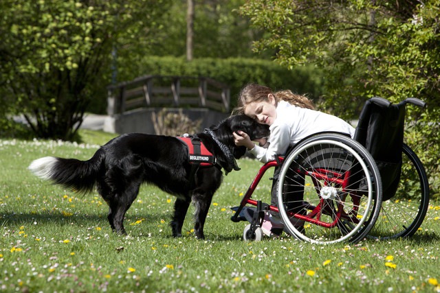 抱き合う人と犬