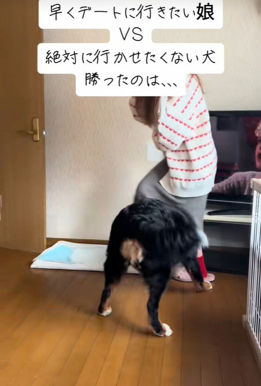 「行かないで」とアピール