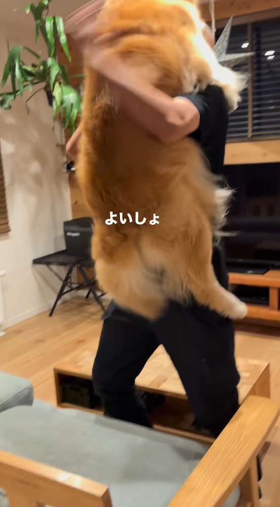 男性に抱きつこうとする犬