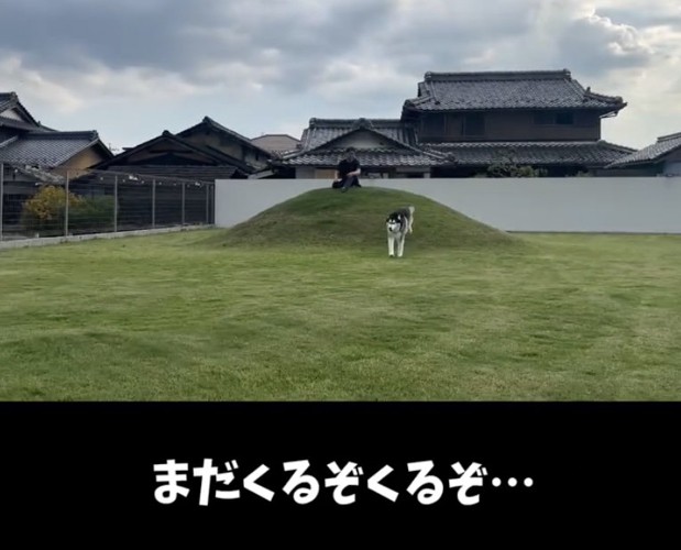 助走をつけて、もう一度突進