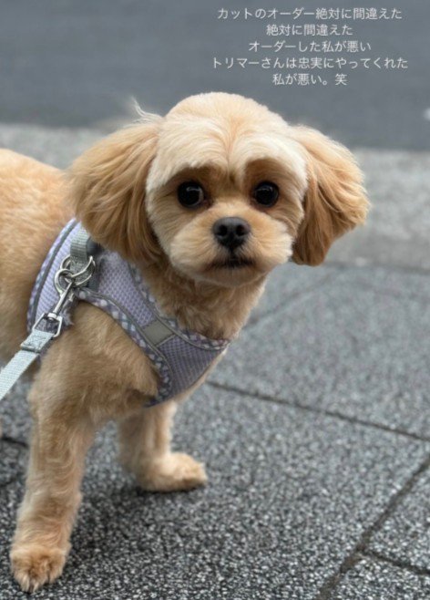 凛々しい顔もステキ♡