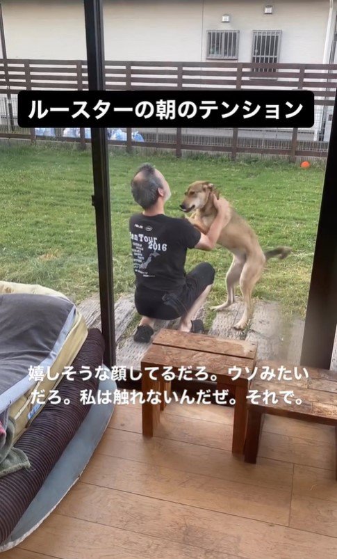 ルースターちゃんと旦那さん5