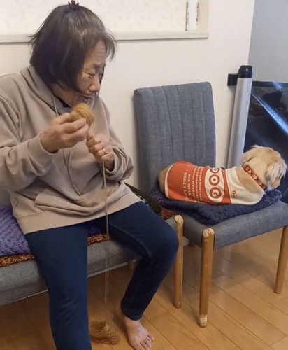 おばあちゃんに背を向ける犬