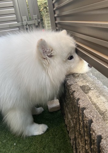 ちゃんと