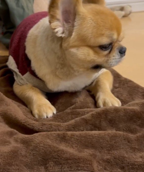 ムッとした表情がたまらない♡